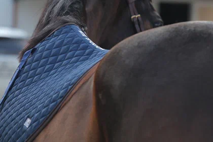 Вальтрапы. Какой выбрать?