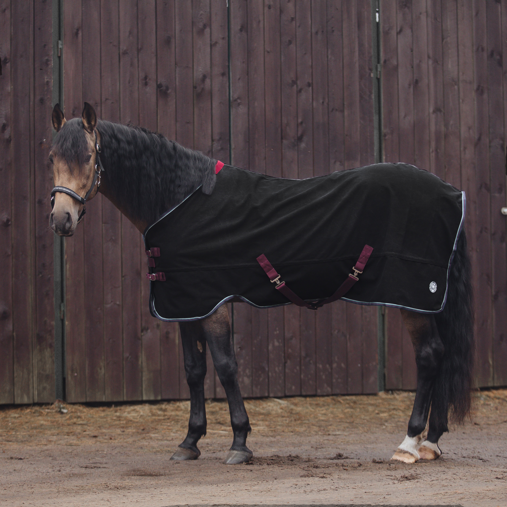 Попона хлопковая LIMASSOL чёрный