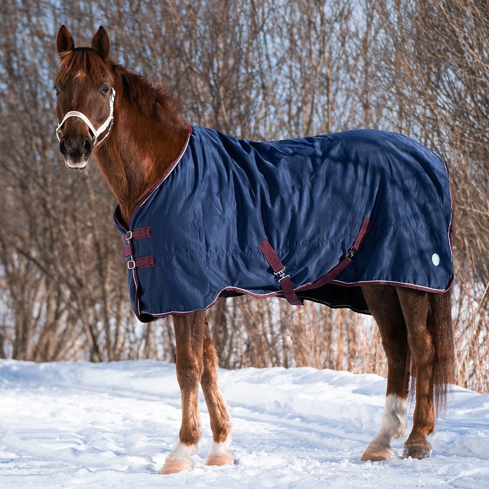 Попона денниковая FLEECE-LINED на флисе синий/бордо