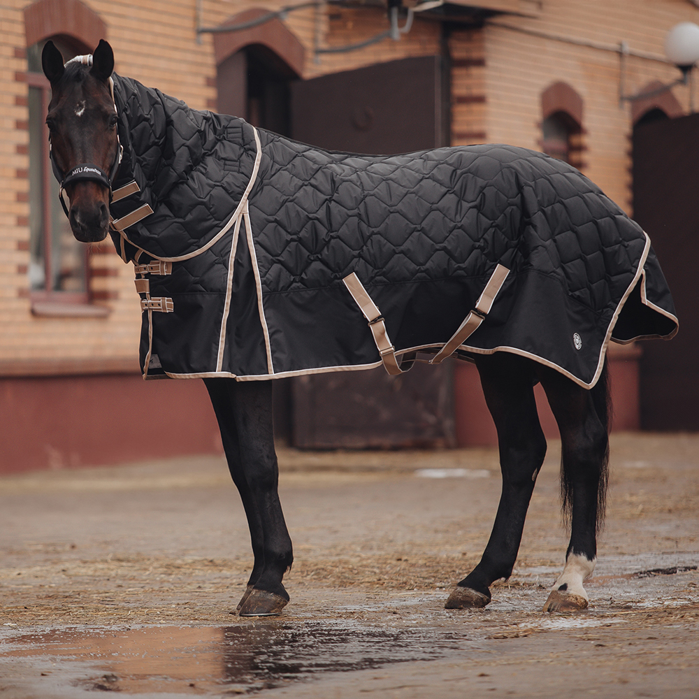 Попона денниковая BLACK STAR с капором, 300 гр