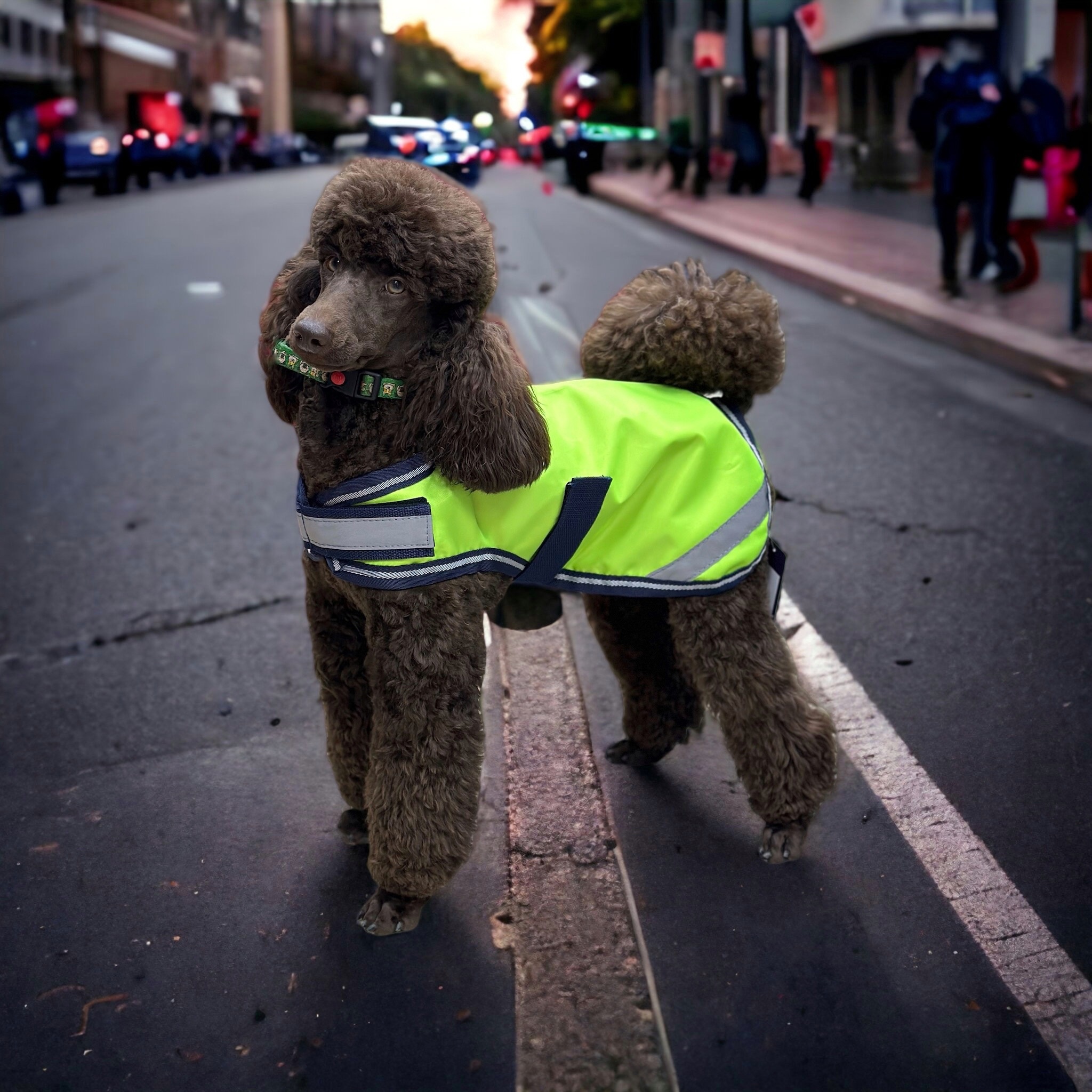 Попона для собаки светоотражающая Reflective Dog Coat зелёный Первая Конная Мануфактура