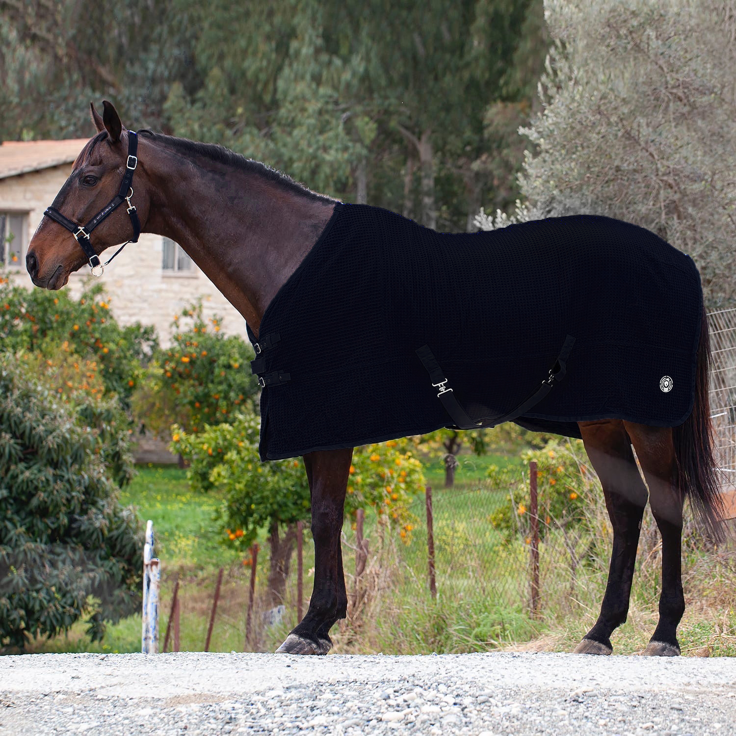 Попона вафельная MIU Equestrian Waffle Cooler чёрный