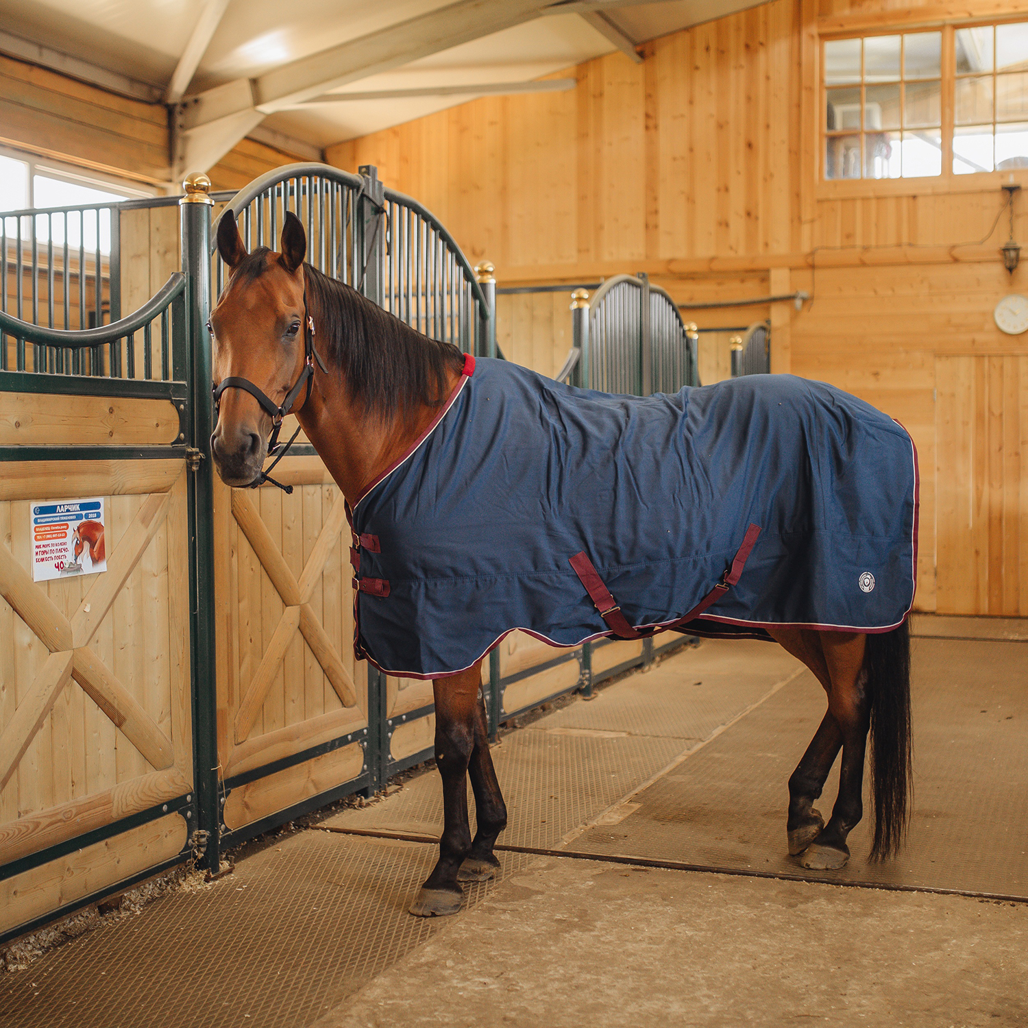 Попона денниковая FLEECE-LINED на флисе синий/бордо (100, 264925-21-100)