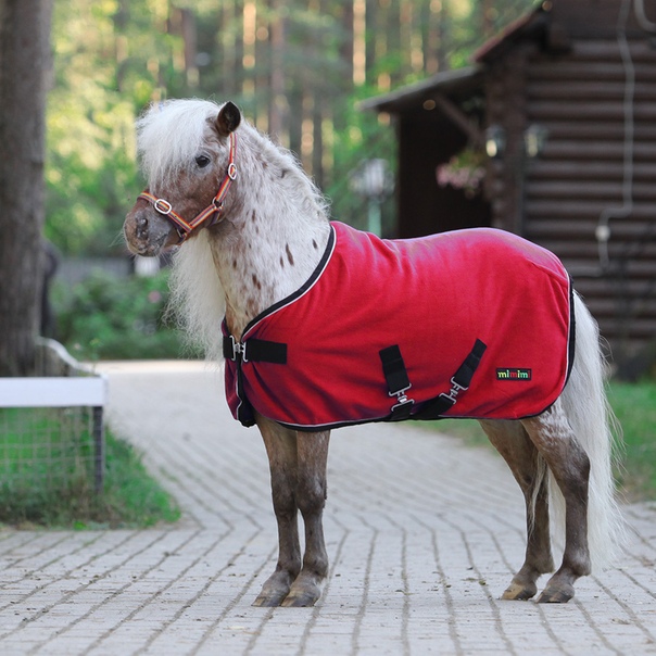 Попона флисовая Pony Fleece красный первая конная мануфактура