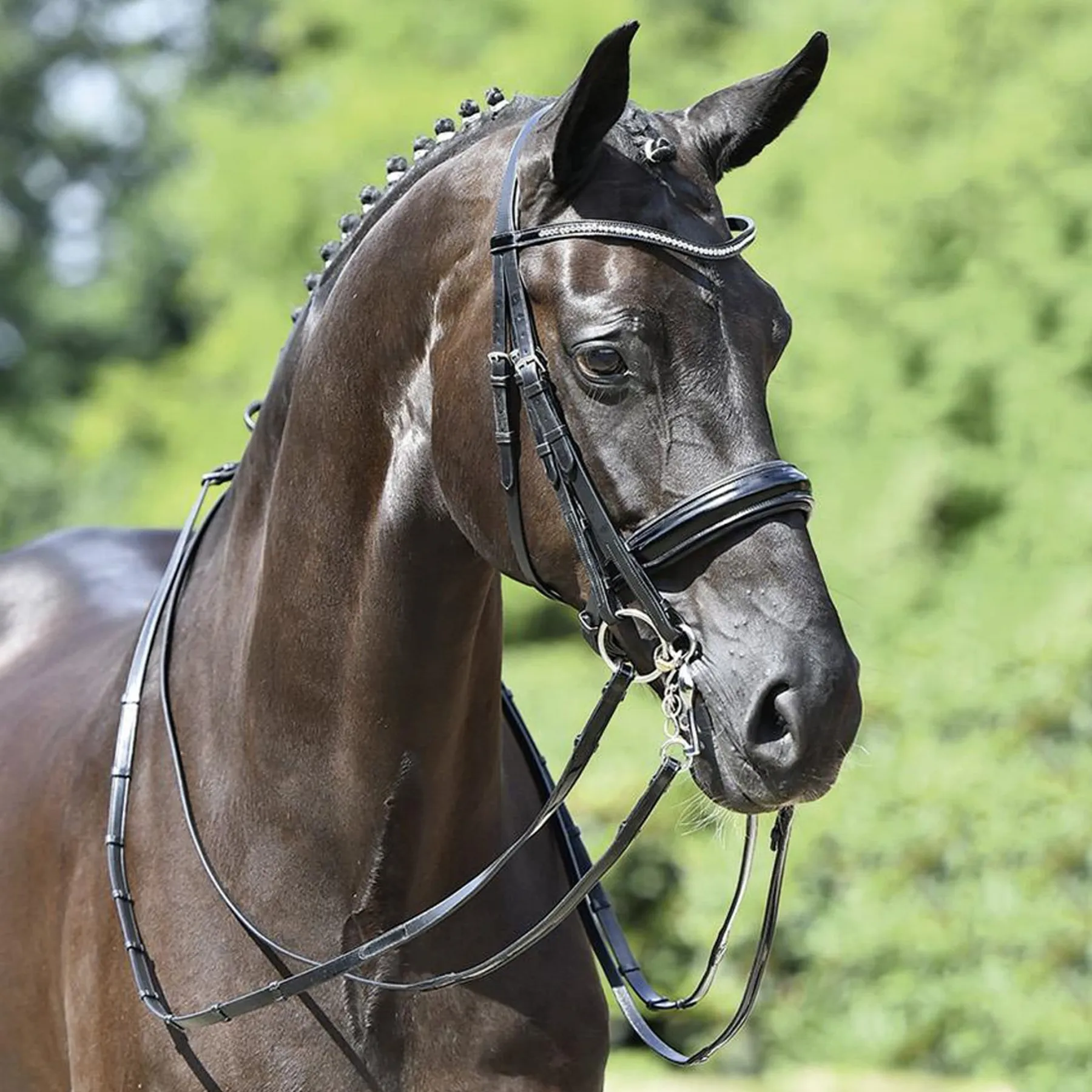 Оголовье мундштучное BUSSE DOUBLE BRIDLE MASSA Первая Конная Мануфактура