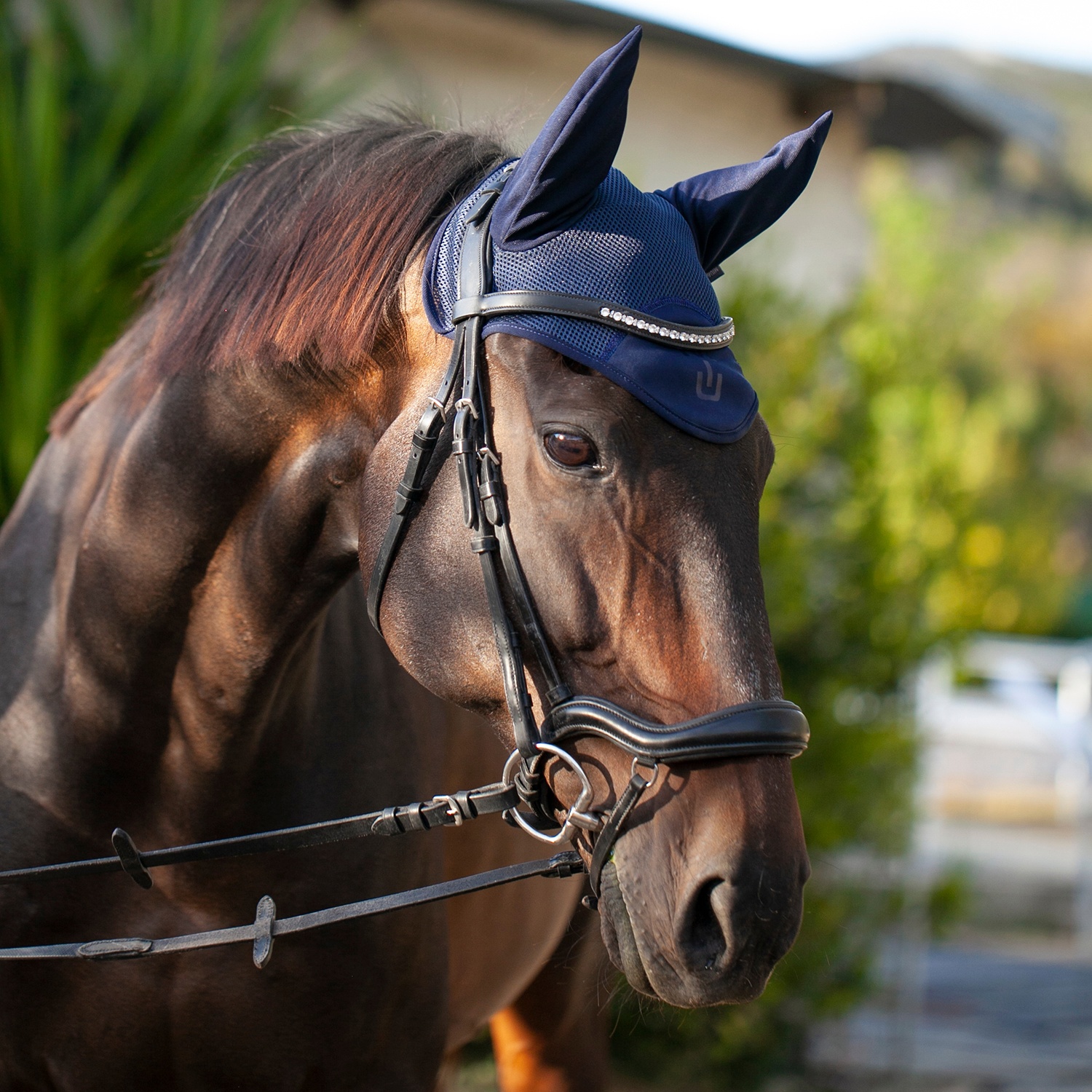 УШКИ SportLine синий/синий