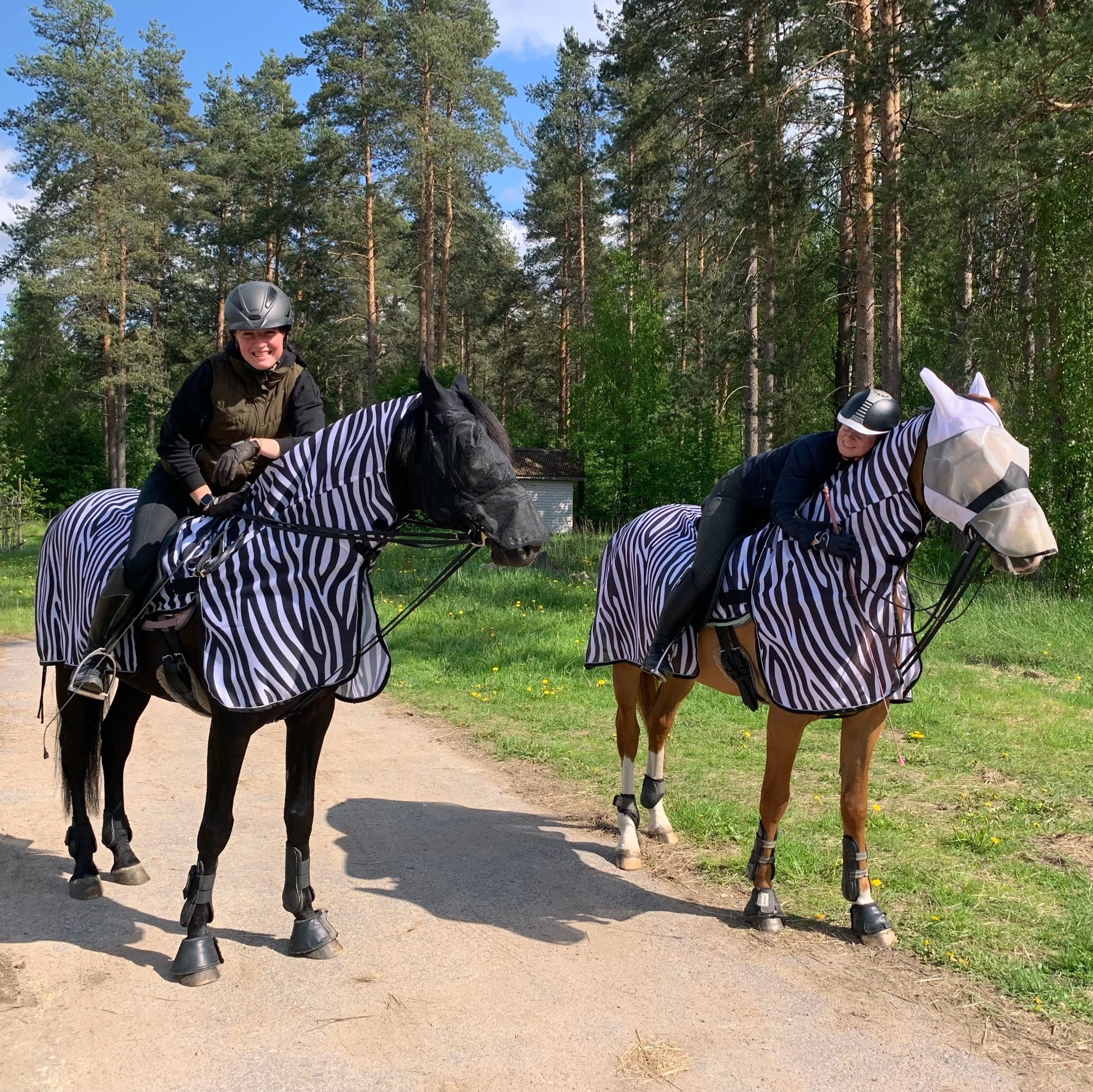 Полупопона антимоскитная EQUUS ZEBRA с капором