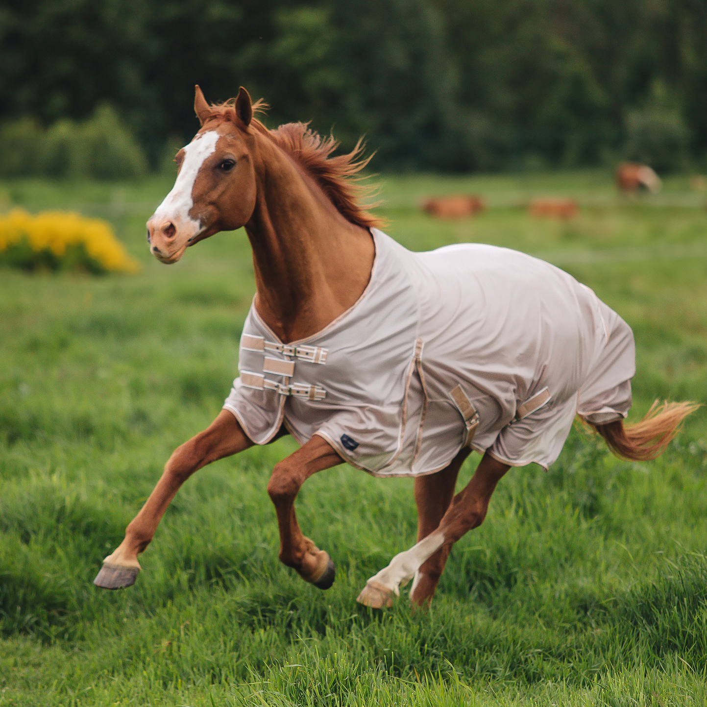 Попона антимоскитная MIU Equestrian Summer days бежевый Первая Конная Мануфактура