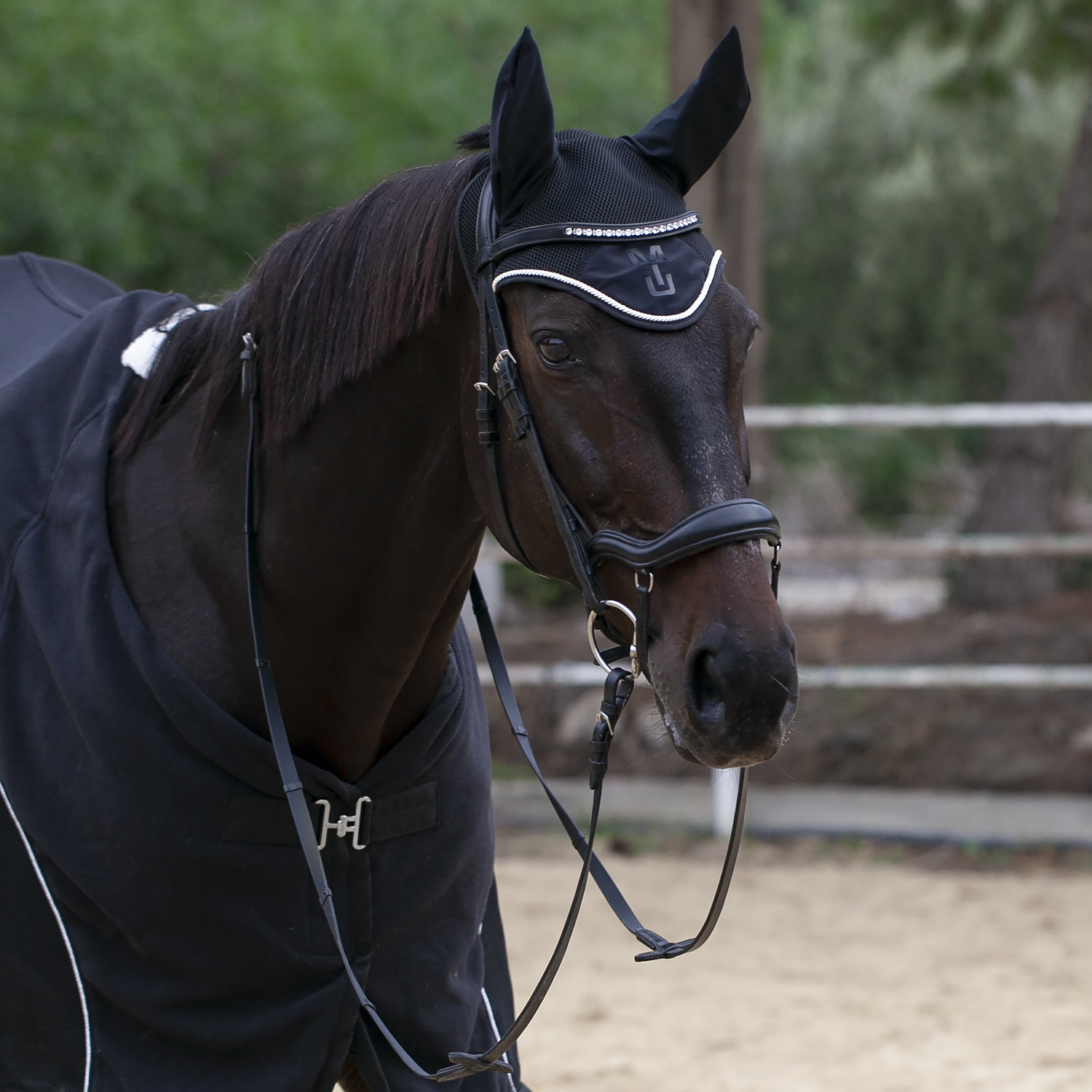 Ушки Elegance черный/кремовый