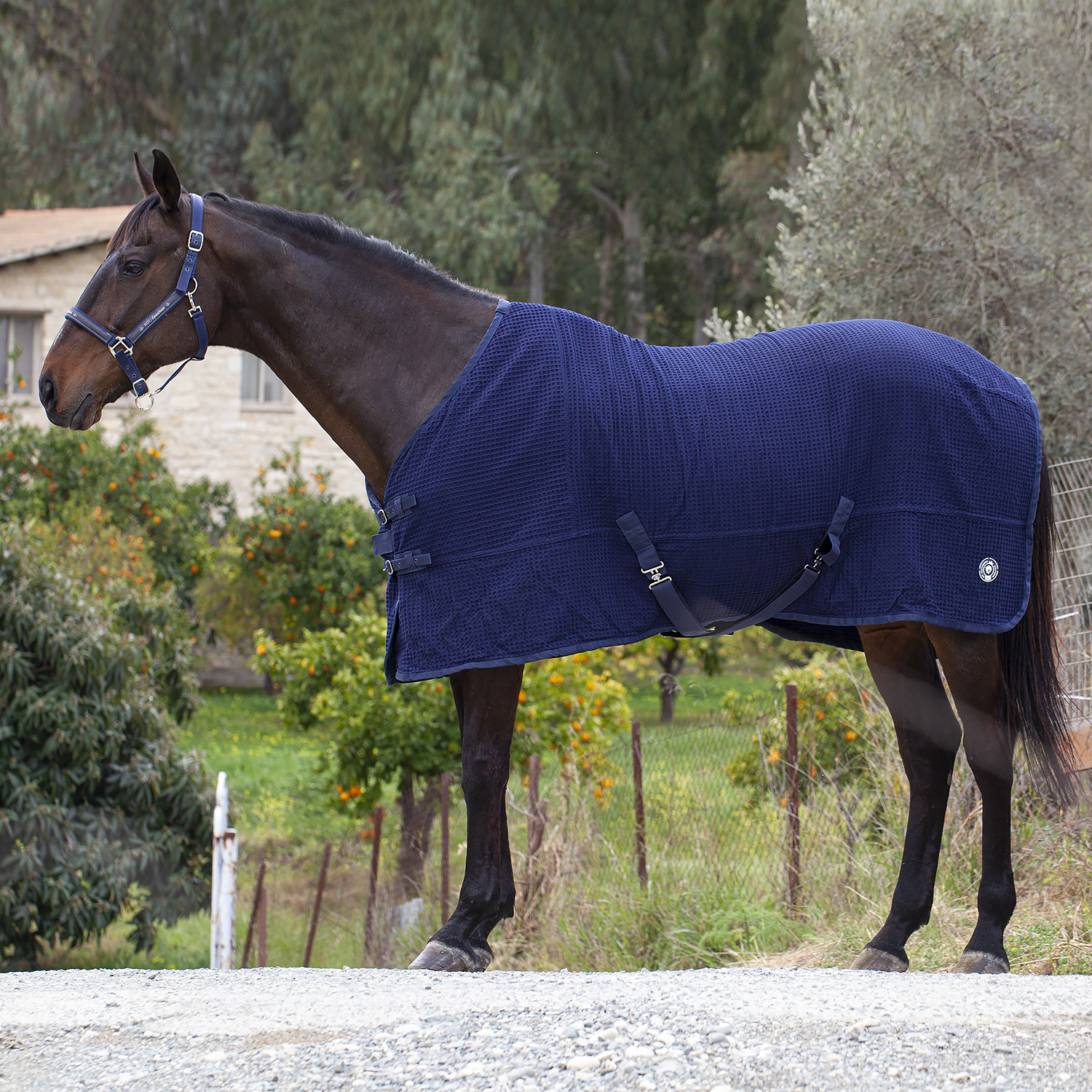 Попона вафельная MIU Equestrian Waffle Cooler синий