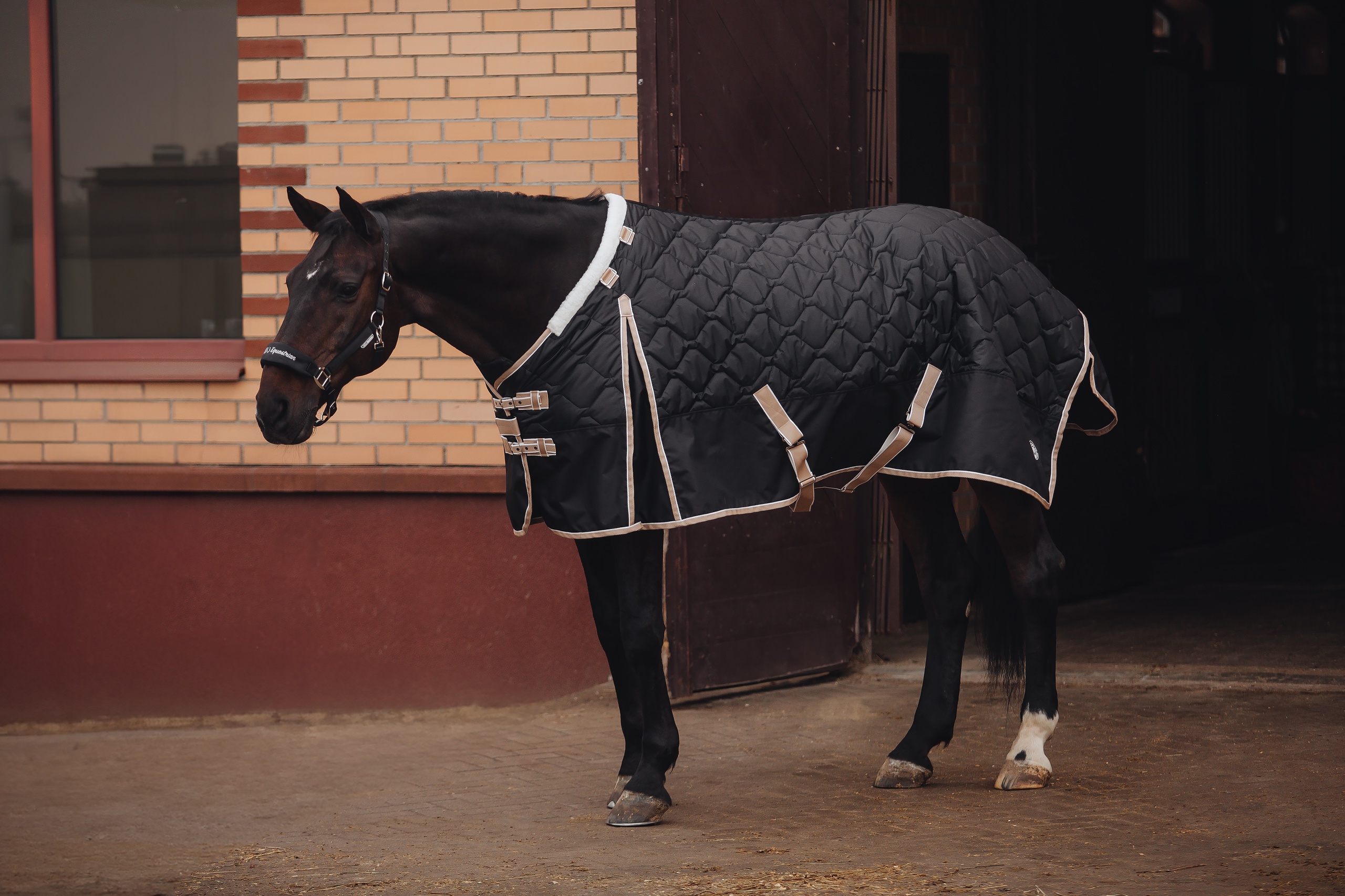 Попона денниковая BLACK STAR с капором, 300 гр