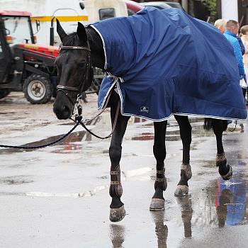 УЦЕНКАПопона-плащик RAINCOAT с вырезами под стремена (135, 364519-21-135)