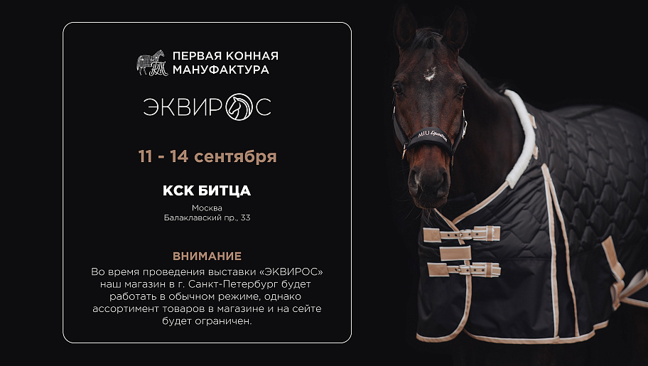 Main banner