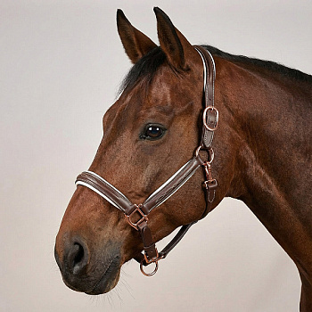 Недоуздок кожаный с фигурной отстрочкой Briar коричневый (full, IN330202-70-full)