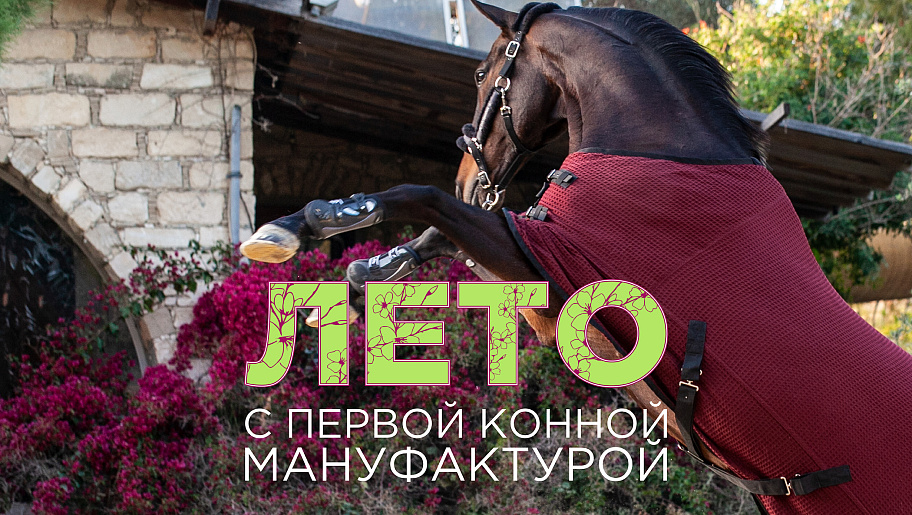 Main banner