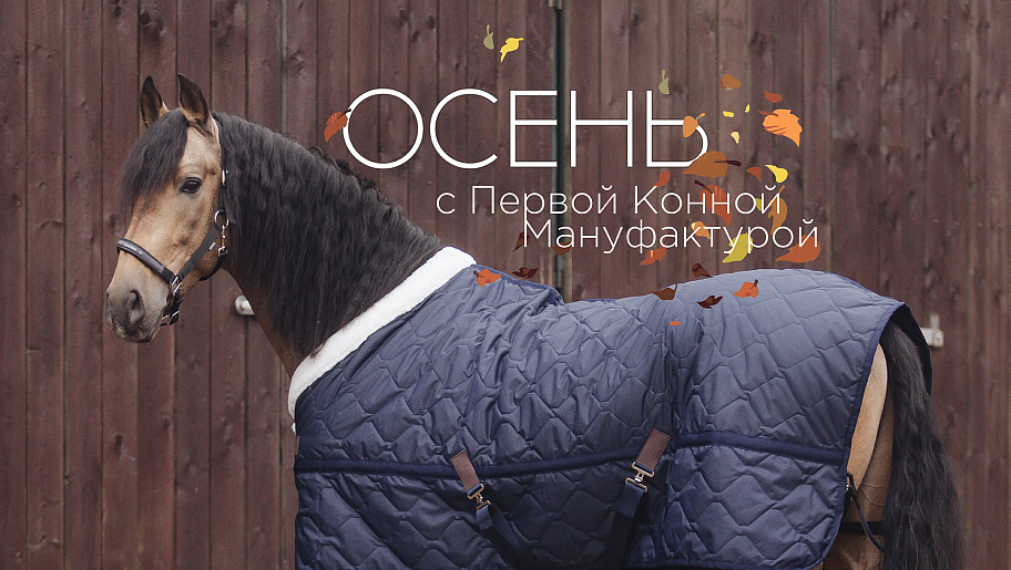 Main banner