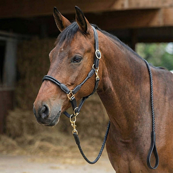 Недоуздок кожаный плетеный с чомбуром Evoke чёрный (full, IN330209-10-full)