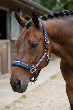 Недоуздок турнирный EQUESTRIAN SPORTS синий (cob, 340872788-21-cob)