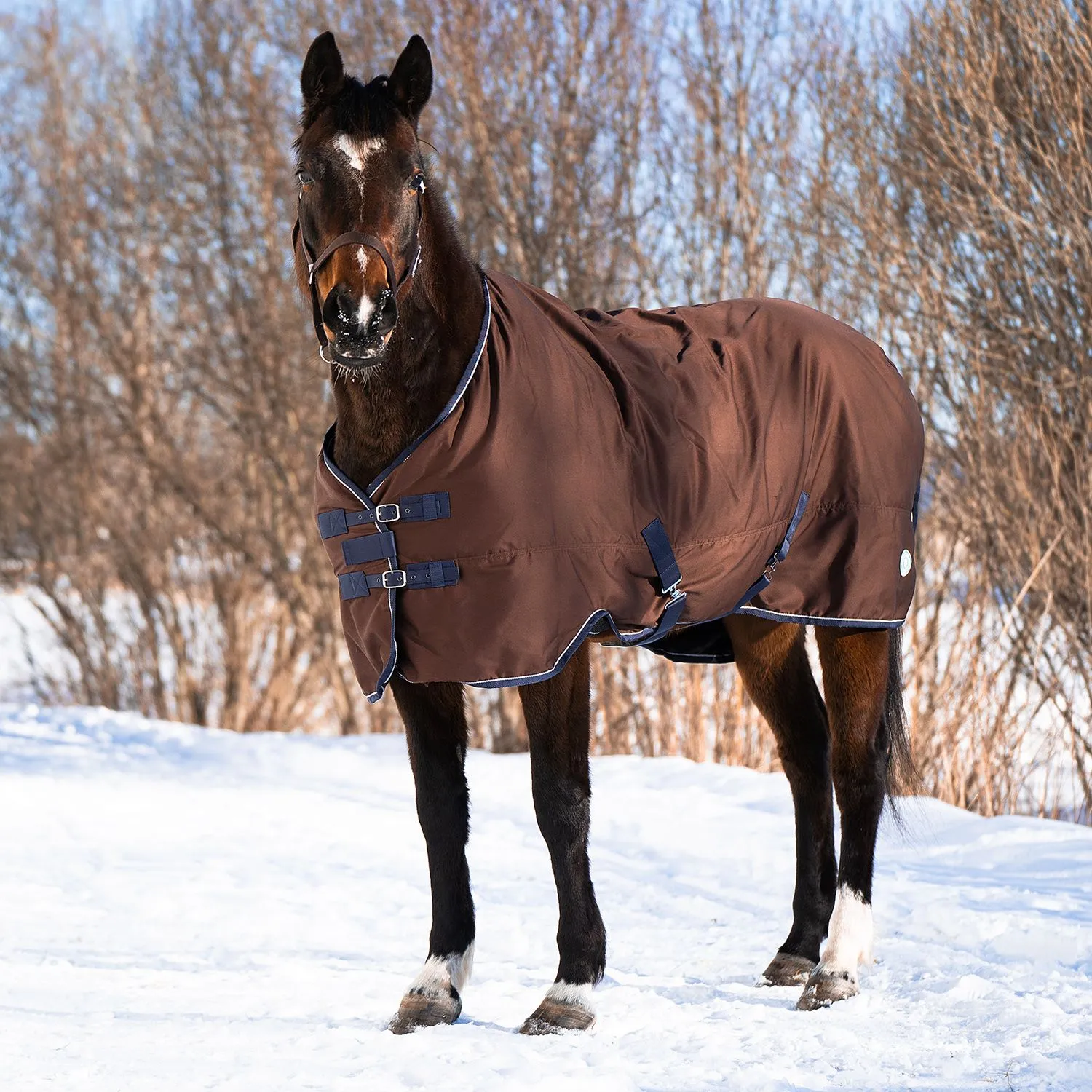 Попона денниковая FLEECE-LINED на флисе коричневый/синий Первая Конная Мануфактура