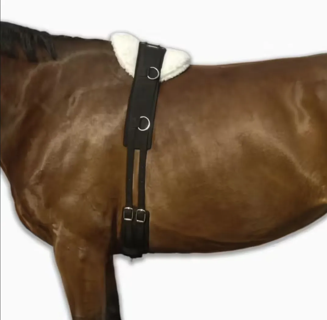 Как называется конская. Упряжь для лошади из чего состоит. Полупопона дождевая. Казы колбаса сыровяленая. Конская сбруя и снаряжение.