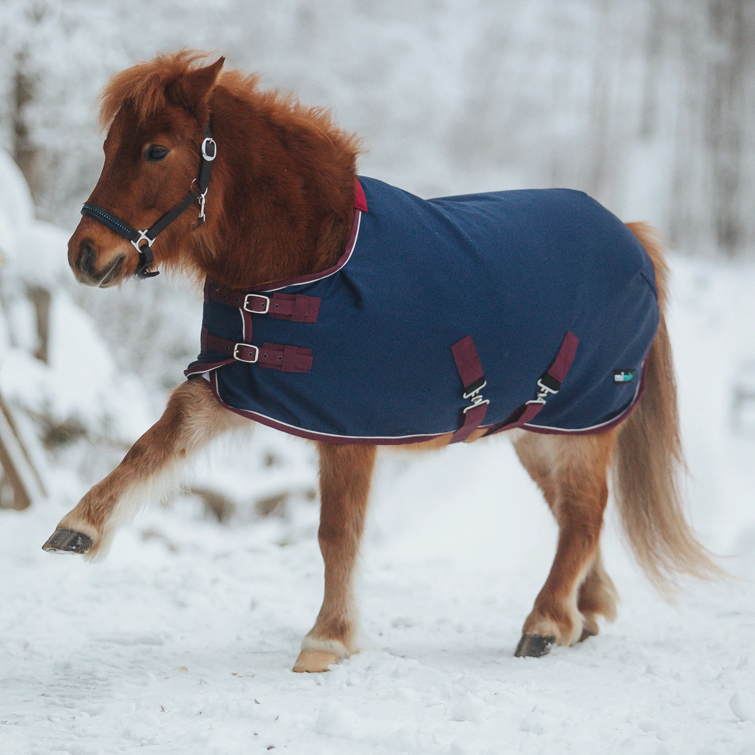 Попона денниковая на флисе mimimi minihorse Fleece-Lined, синий/бордо Первая Конная Мануфактура