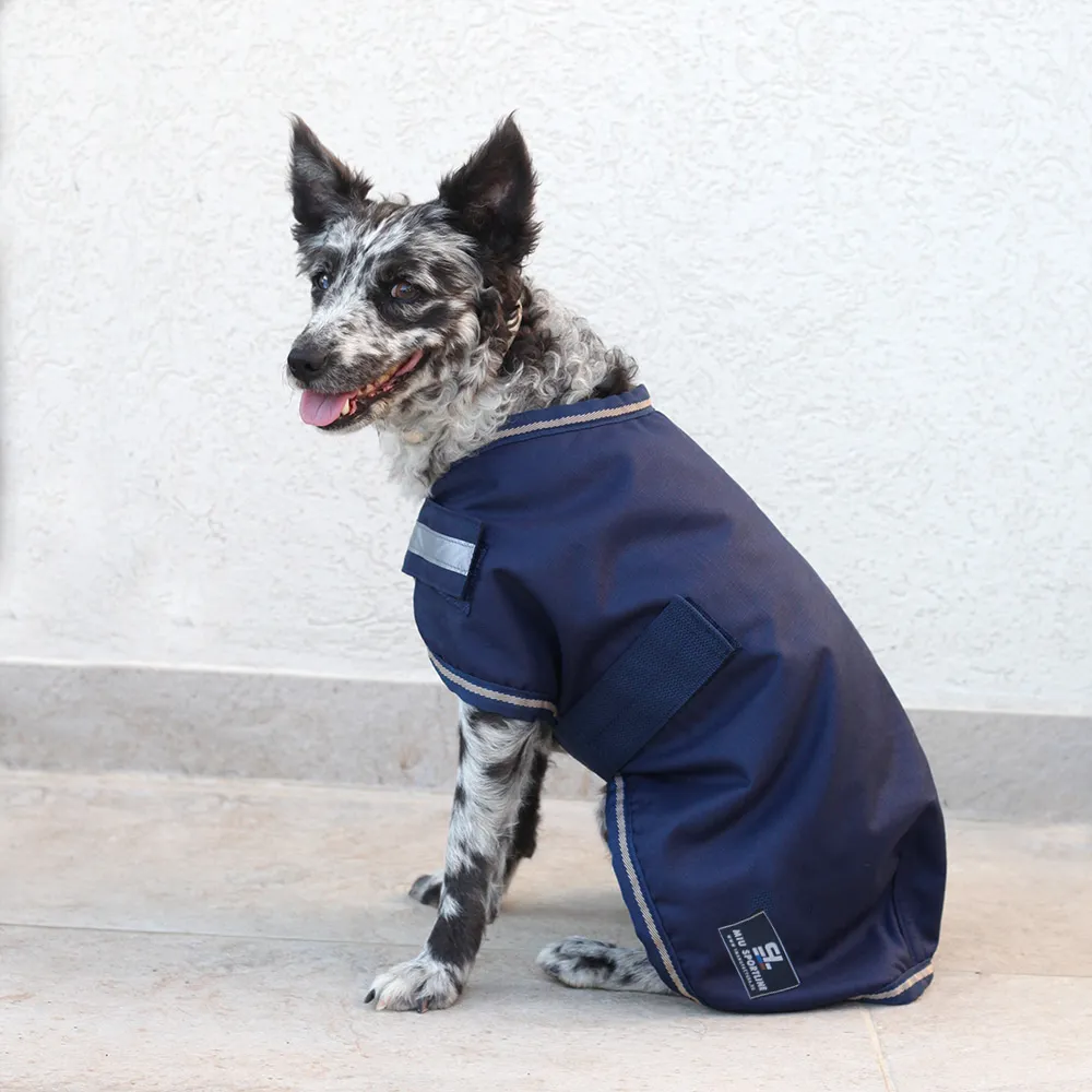 Куртки и попоны для такс - Димон-Камон, одежда для собак