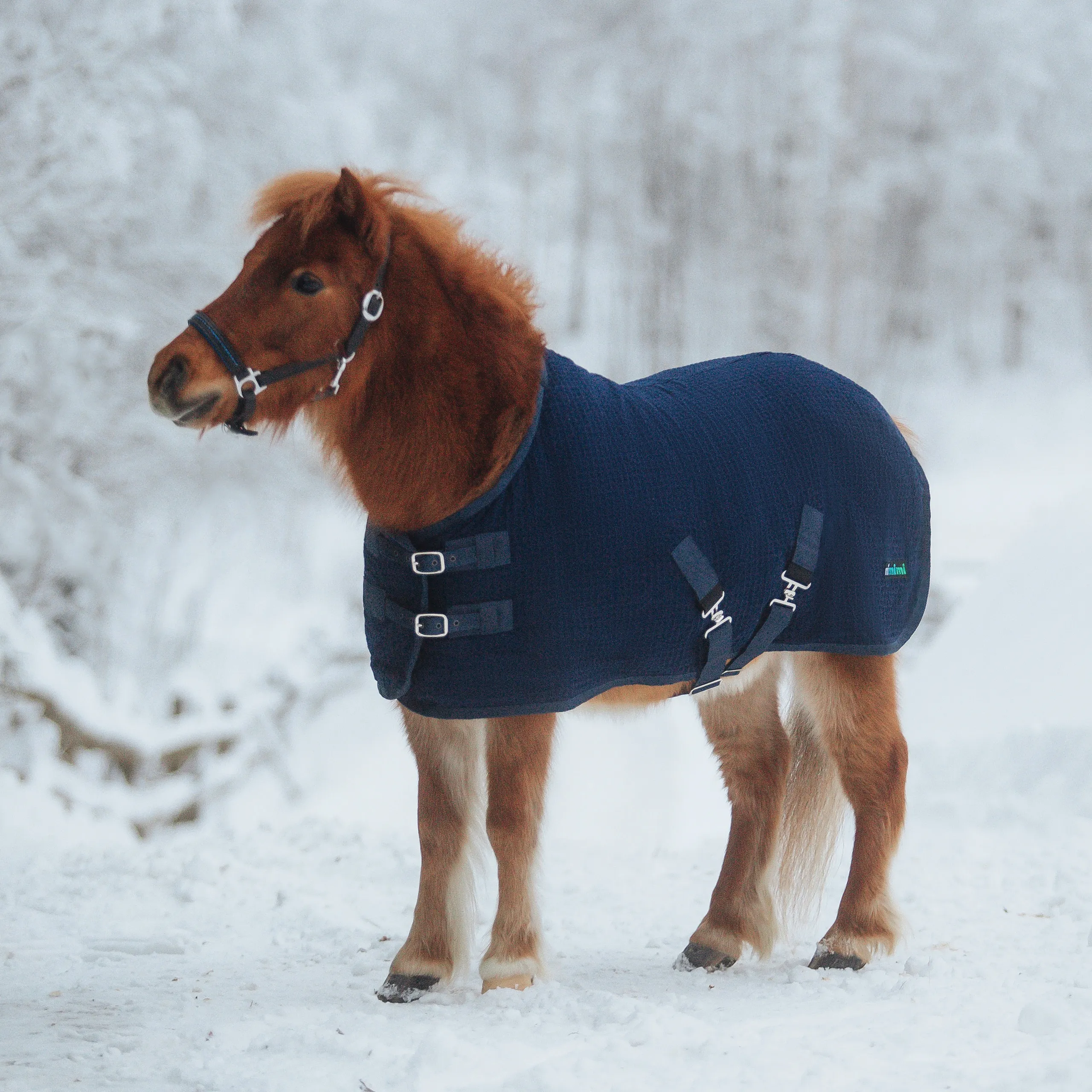 Попона вафельная mimimi minihorse Waffle Cooler, синий Первая Конная Мануфактура