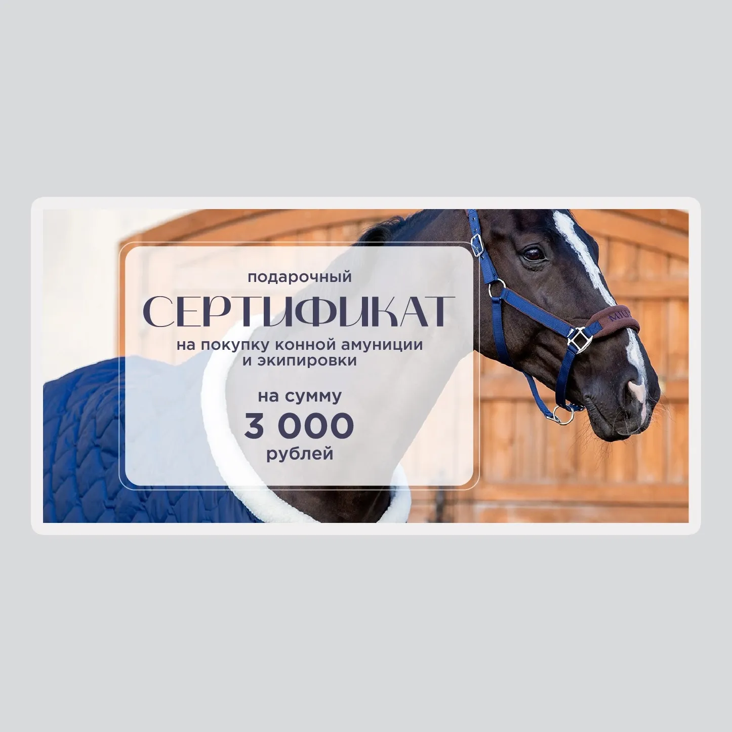 Подарочный сертификат на 3000 рублей Первая Конная Мануфактура